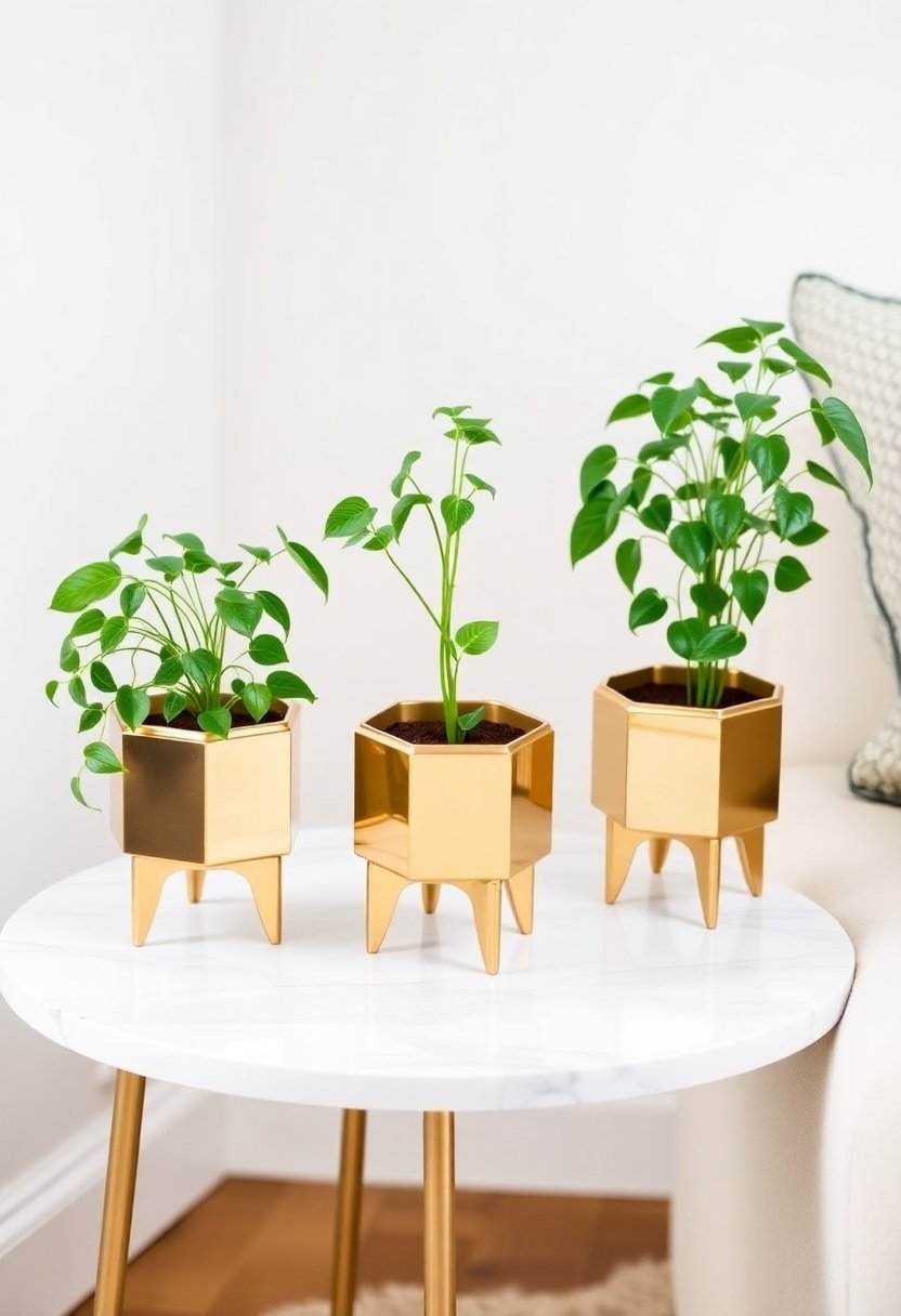 brass planters with style