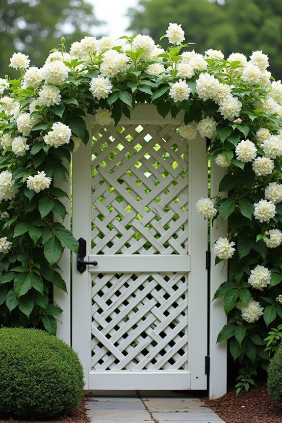 vines climbing lattice panel